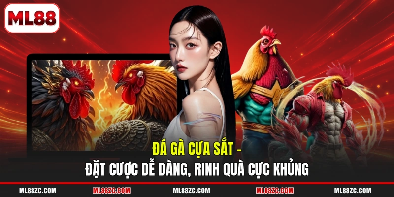 Đá Gà Cựa Sắt - Đặt Cược Dễ Dàng, Rinh Quà Cực Khủng